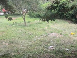 Big plot for Sale at Gasabo near BK Arena, 200 M